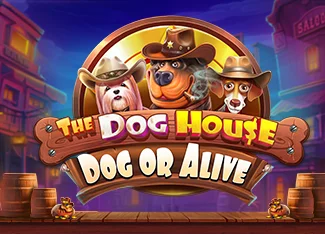 The Dog House Megaways Matematiksel Analiz — RTP ve Hit Rate